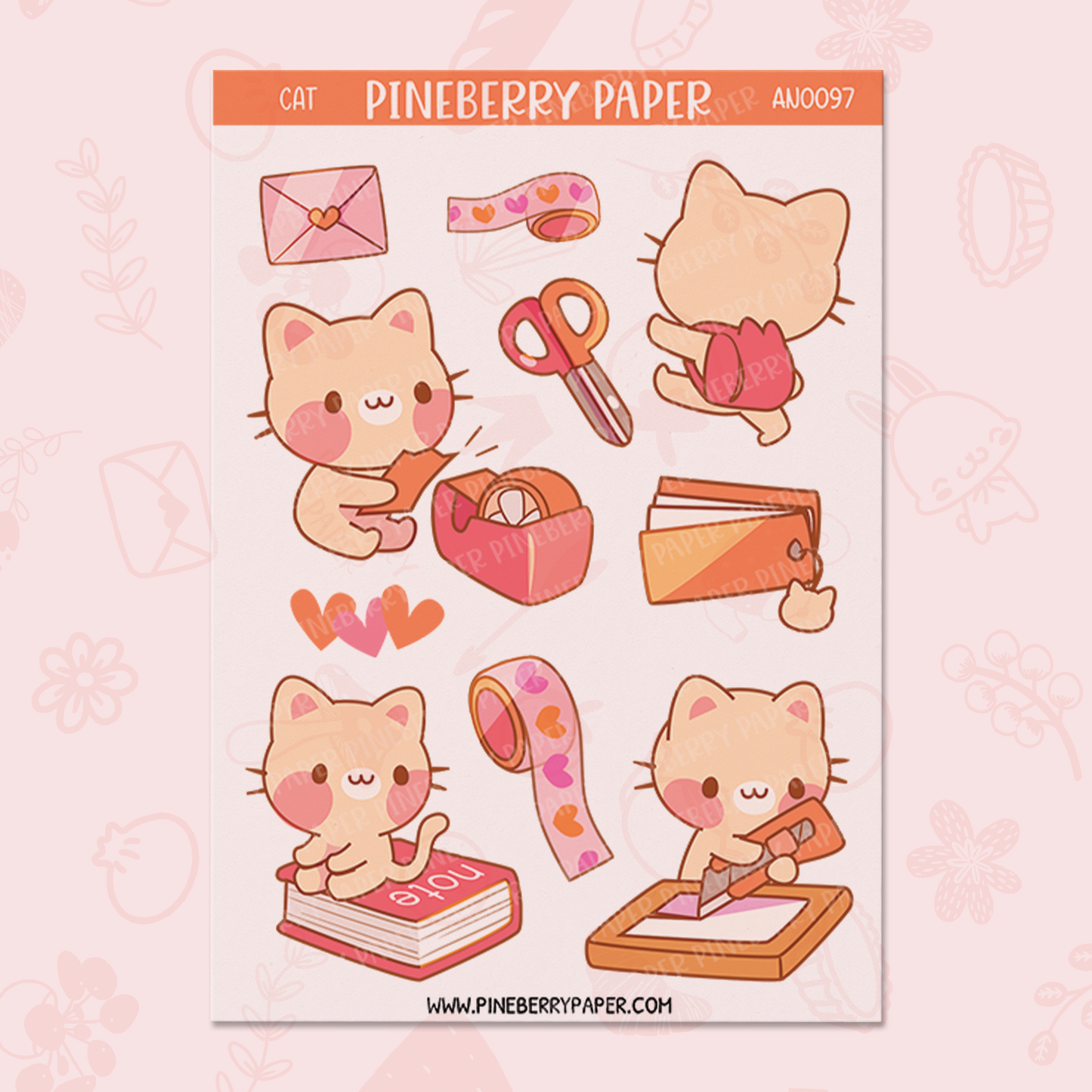 Stationery Cat | AN0097