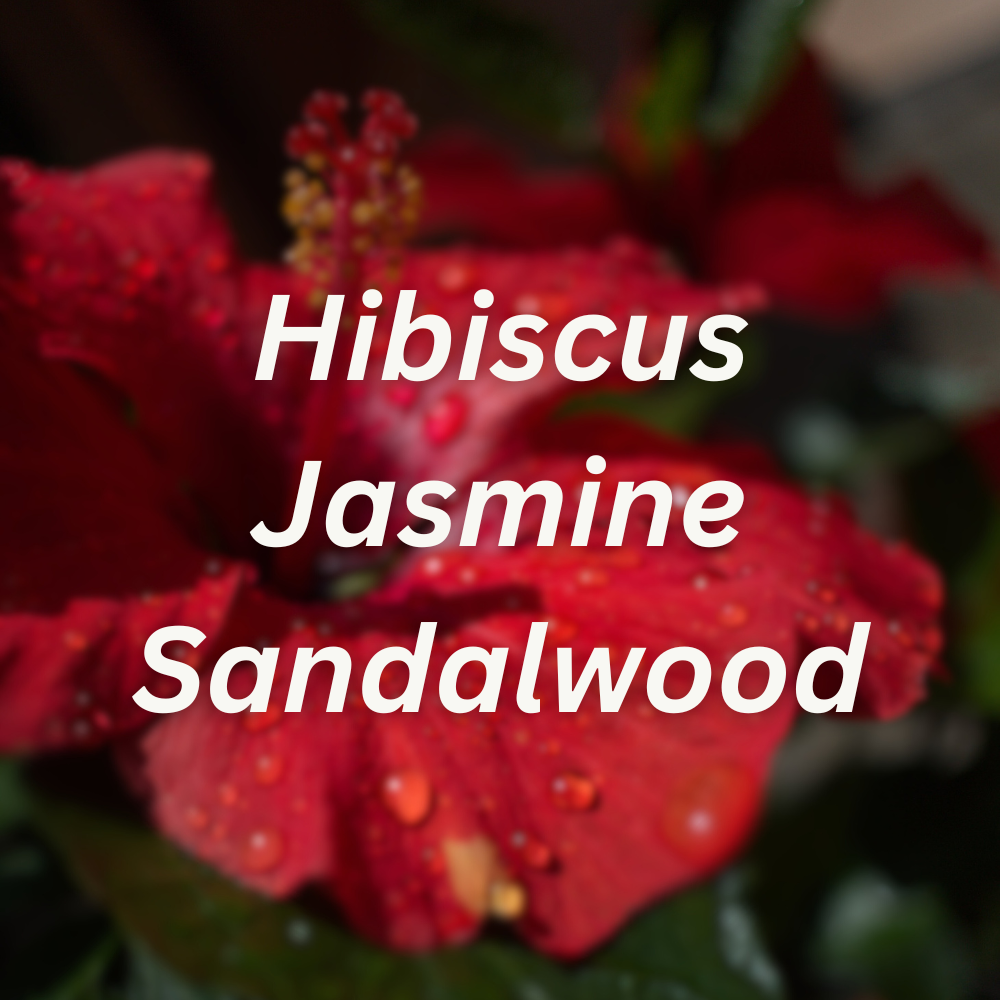 Hibiscus & Pale Amber Scent Booster