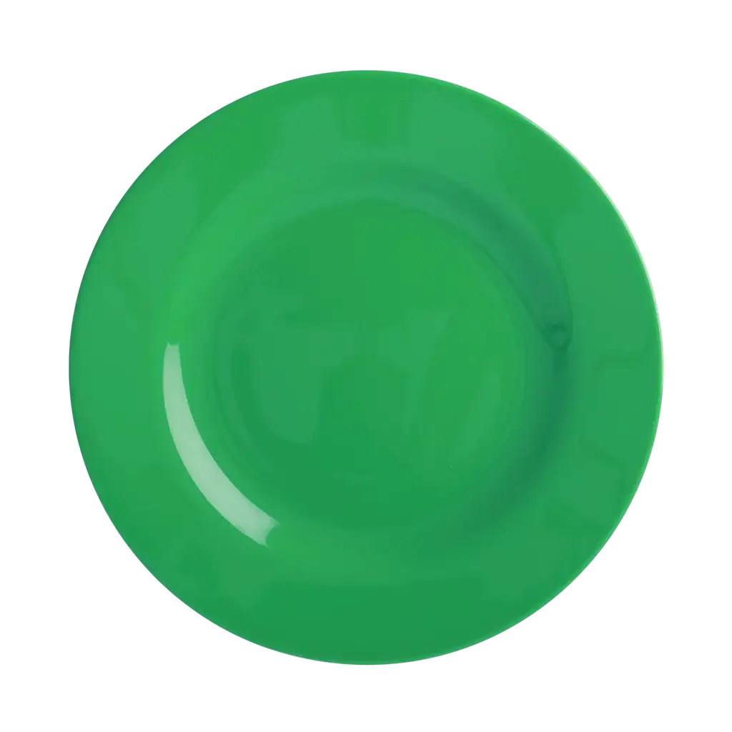 Melamine Lunch Plate | Forest Green