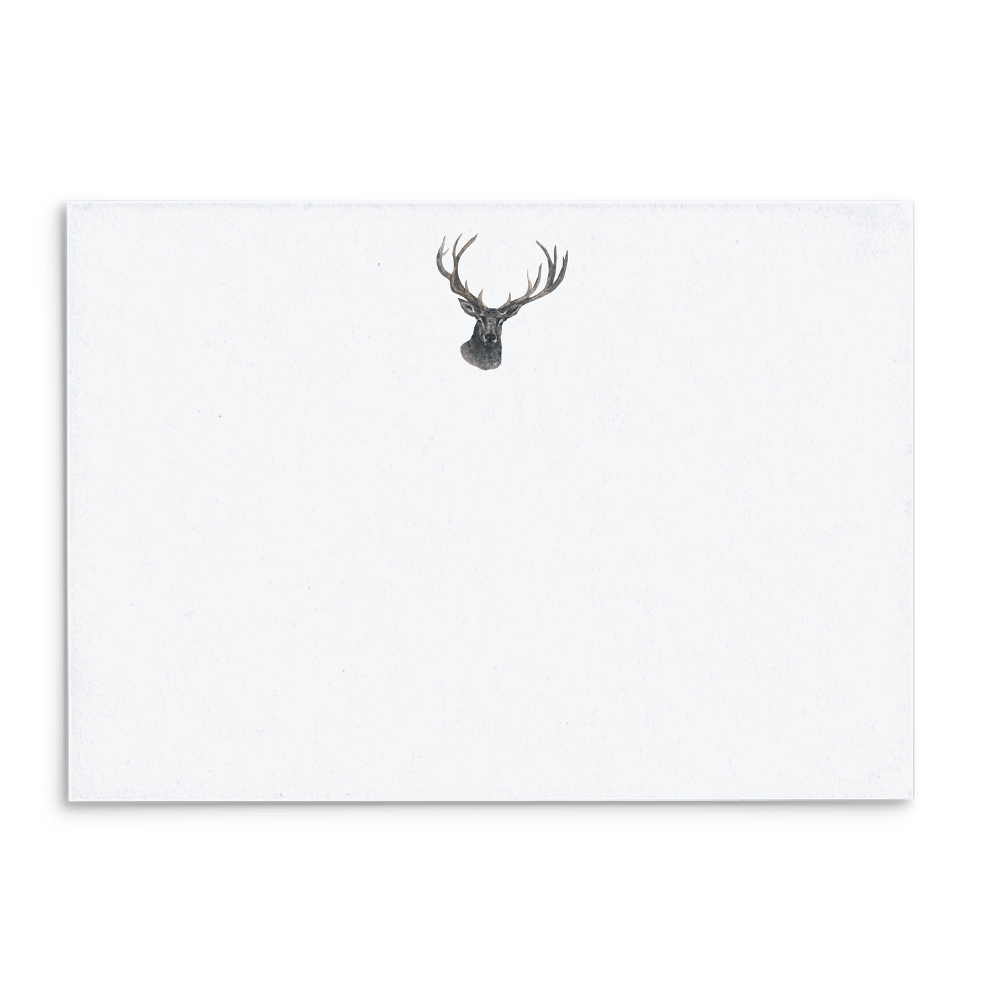 Buck Watercolor Panel Note Cards A2