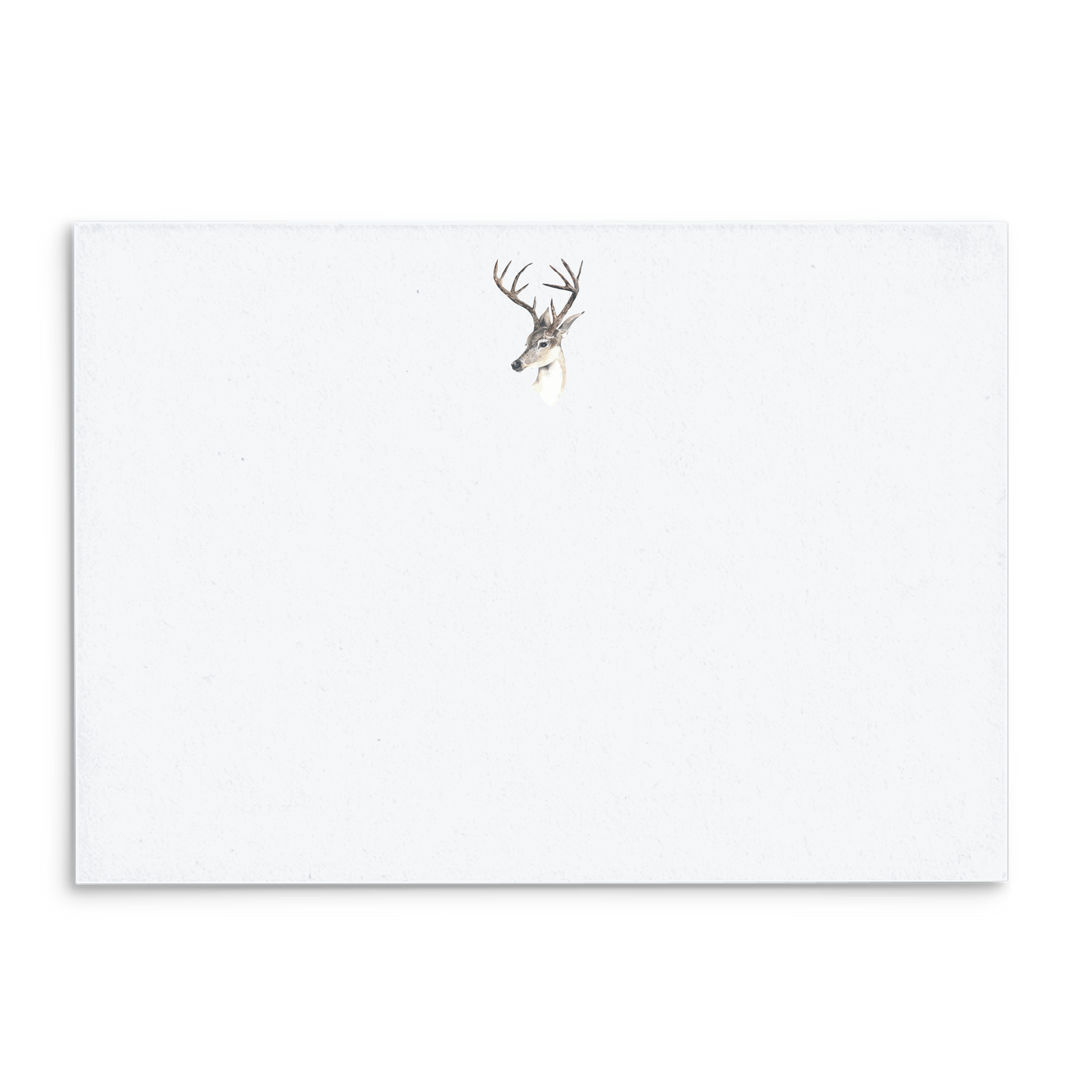 Deer Watercolor Panel Note Cards A2