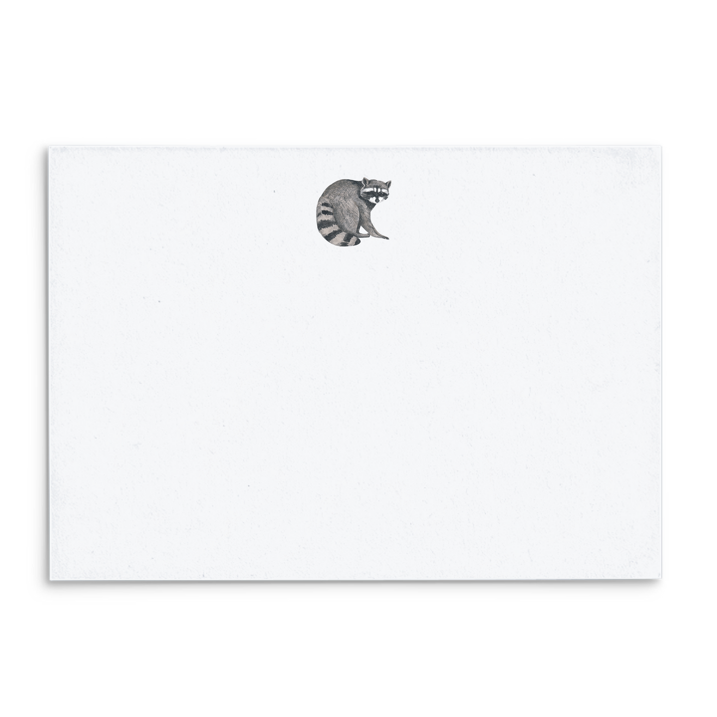 Raccoon Watercolor Panel Note Cards A2