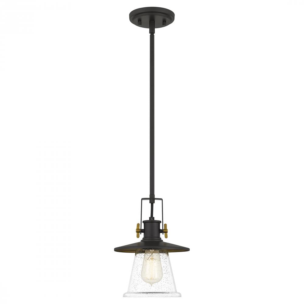 Sumter 1 Light Small Pendant by Quoizel