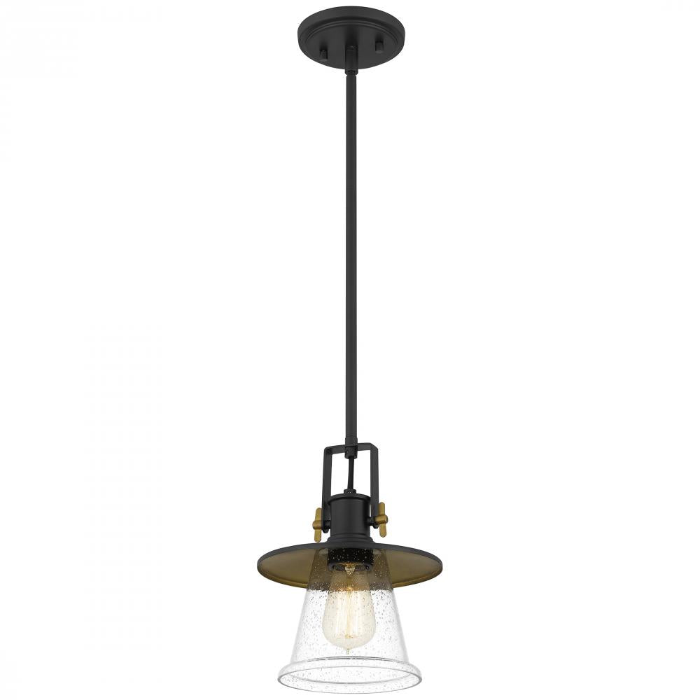 Sumter 1 Light Small Pendant by Quoizel