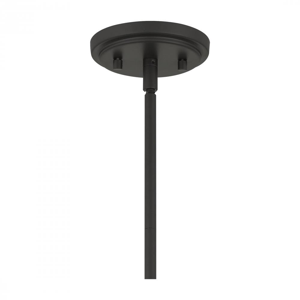 Sumter 1 Light Small Pendant by Quoizel