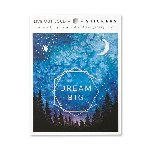 SALE - Dream Big Sticker