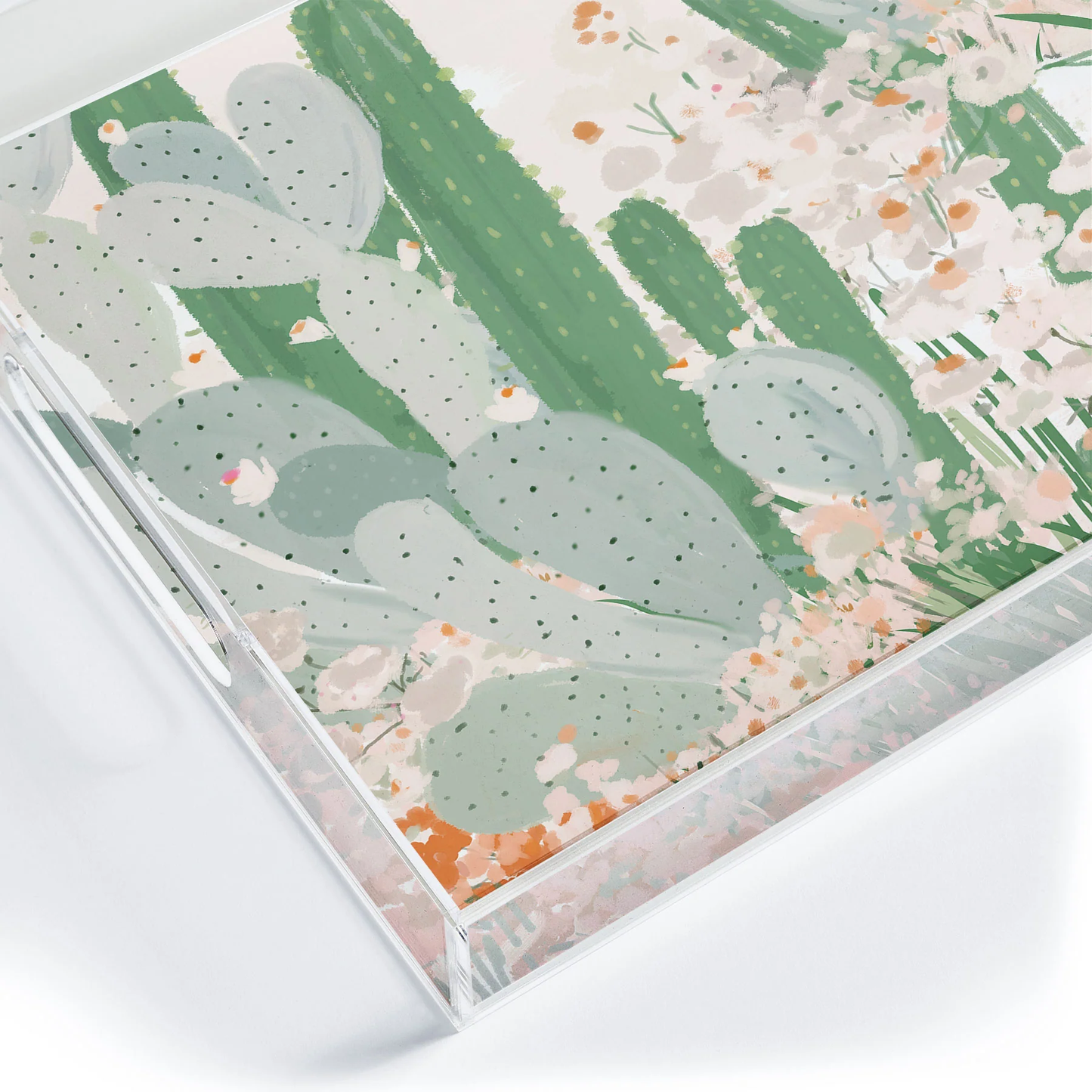 Cactus Garden Acrylic Tray - Medium w/Handles