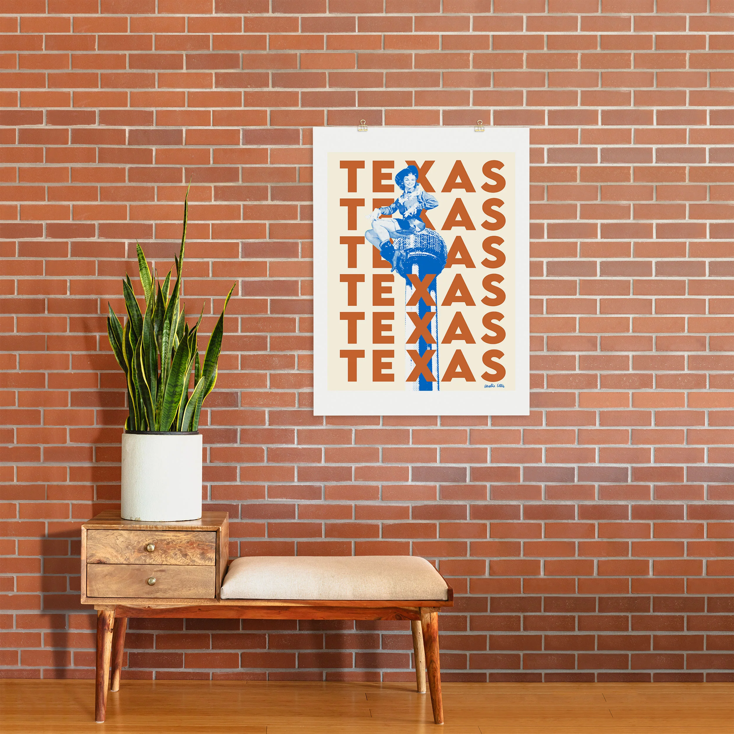 Texas Art Print