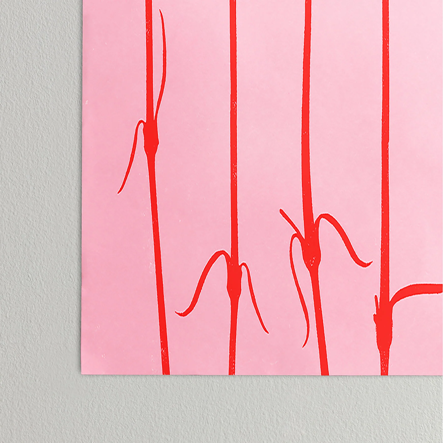 Carnations Poster Art