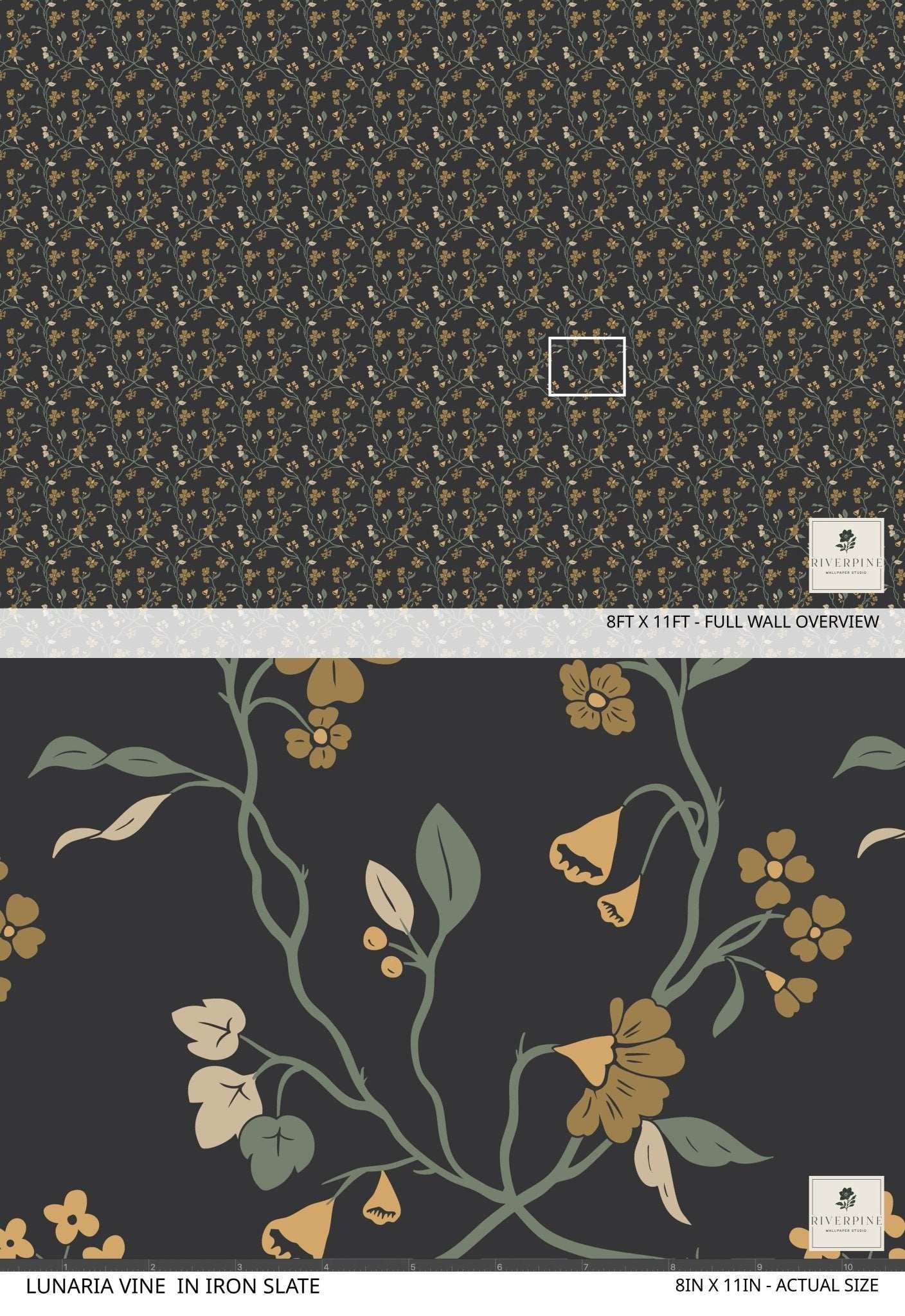 Lunaria Vine Wallpaper in Iron Slate