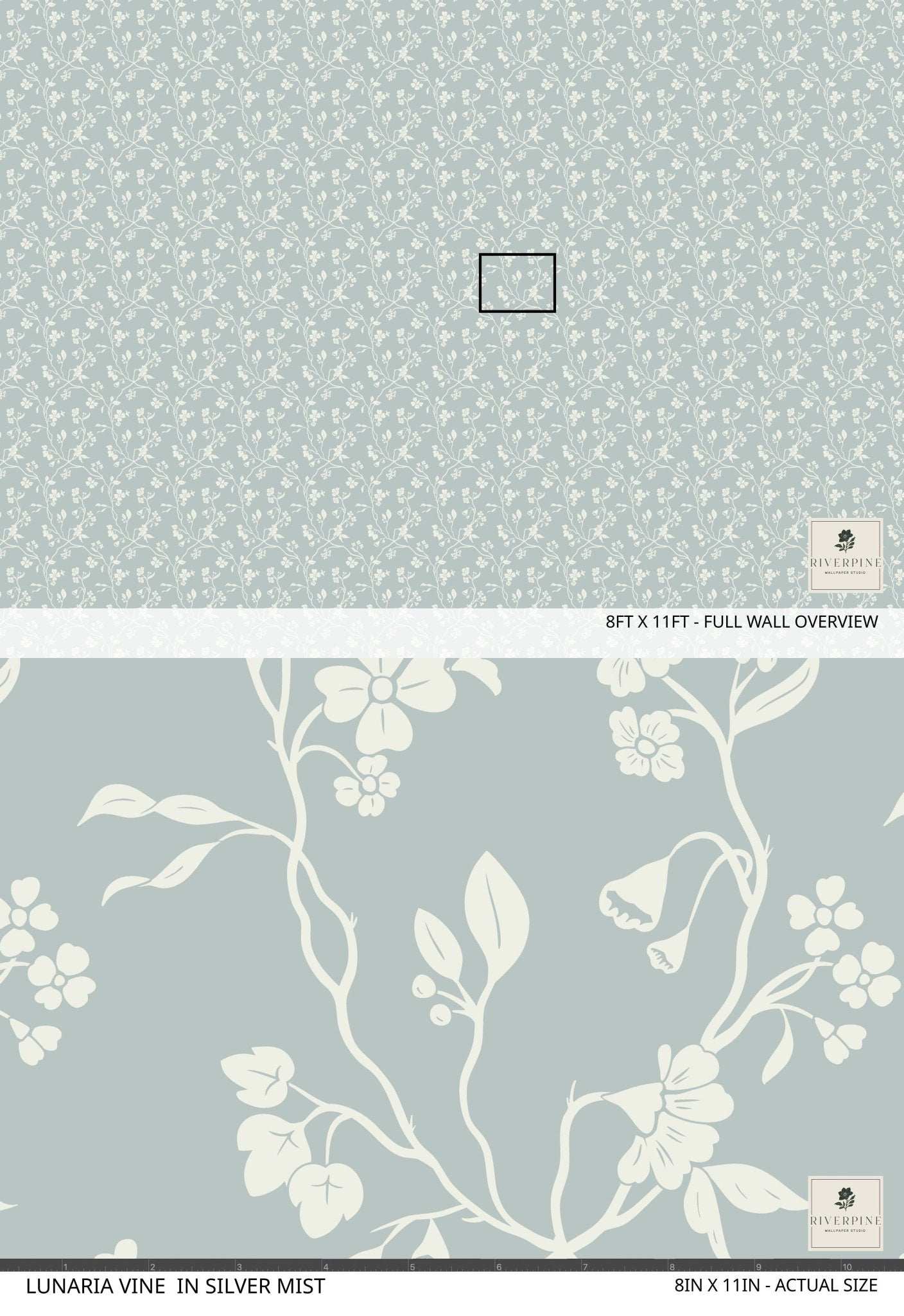 Lunaria Vine Wallpaper in Silver Mist