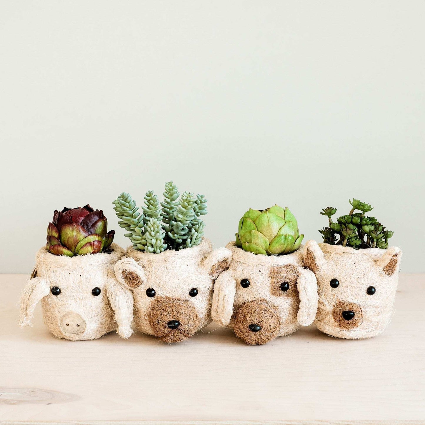 Dog Succulent Planter - Animal Head Plant Pot | LIKHÂ