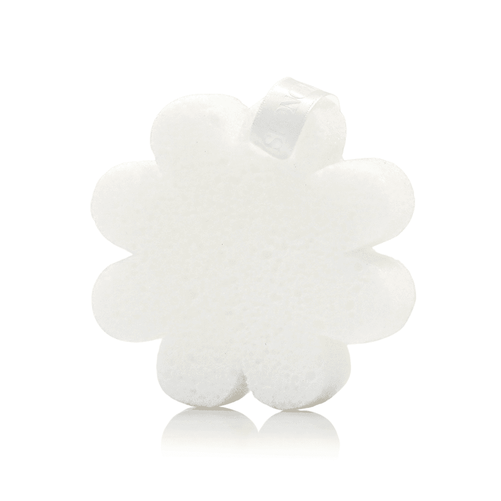Coconut Verbena | Boxed Flower