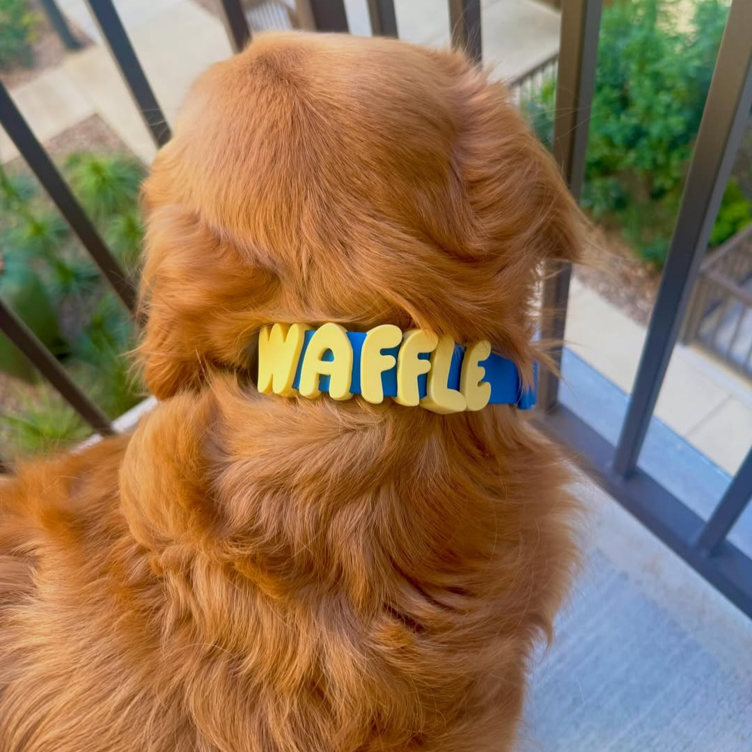 Waterproof Dog Collar