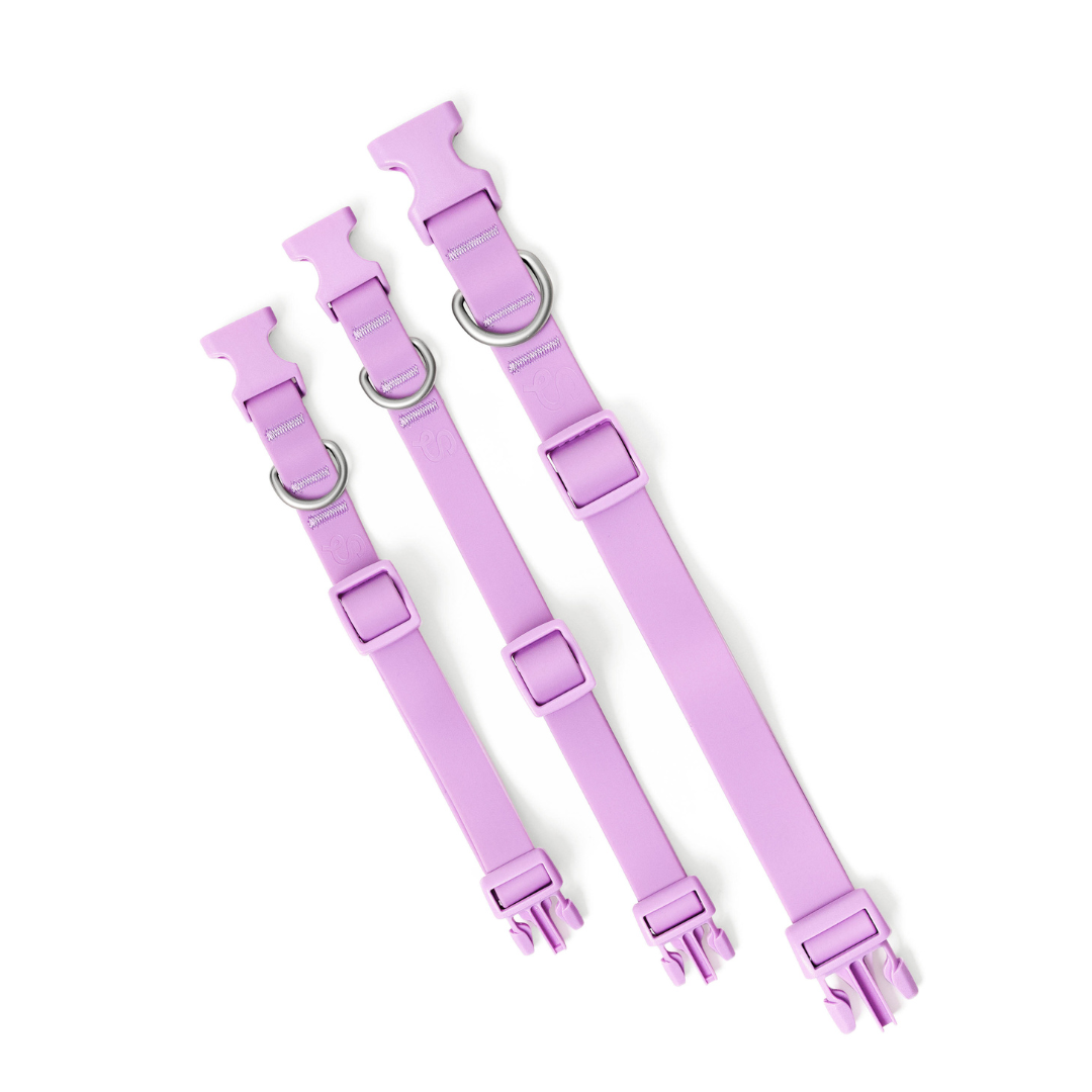 Waterproof Dog Collar