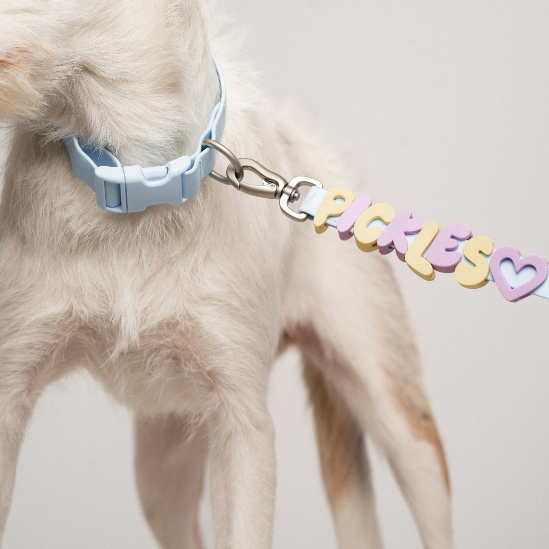 Waterproof Dog Collar