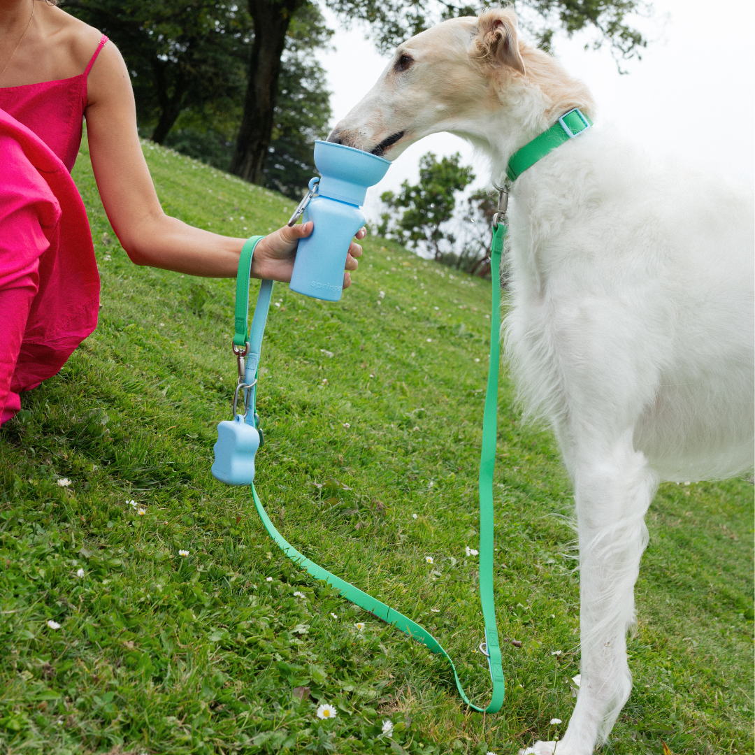 Waterproof Dog Collar