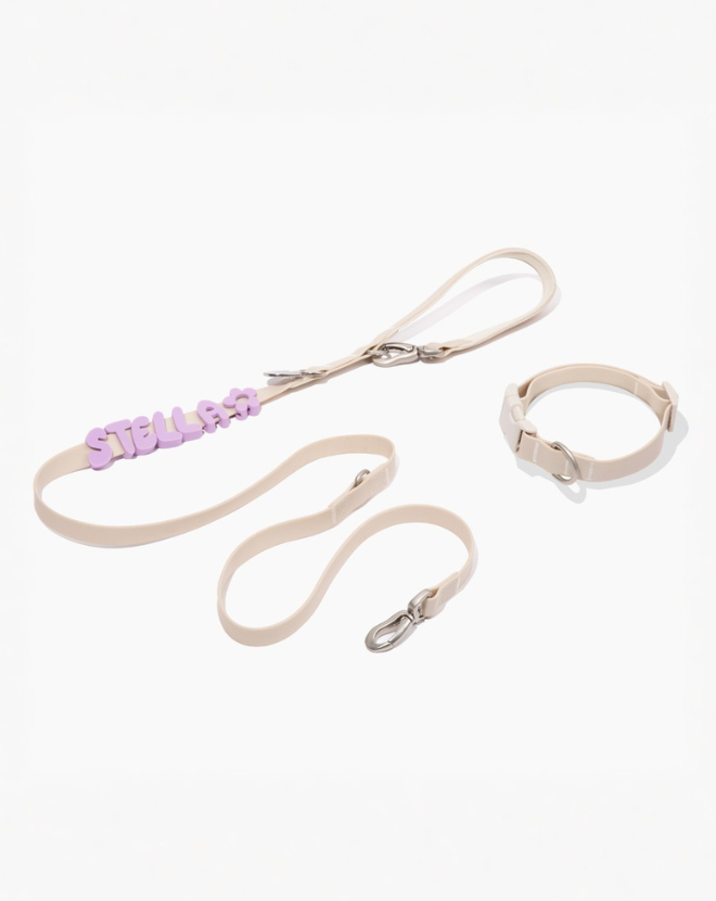 Waterproof Dog Leash - 5ft