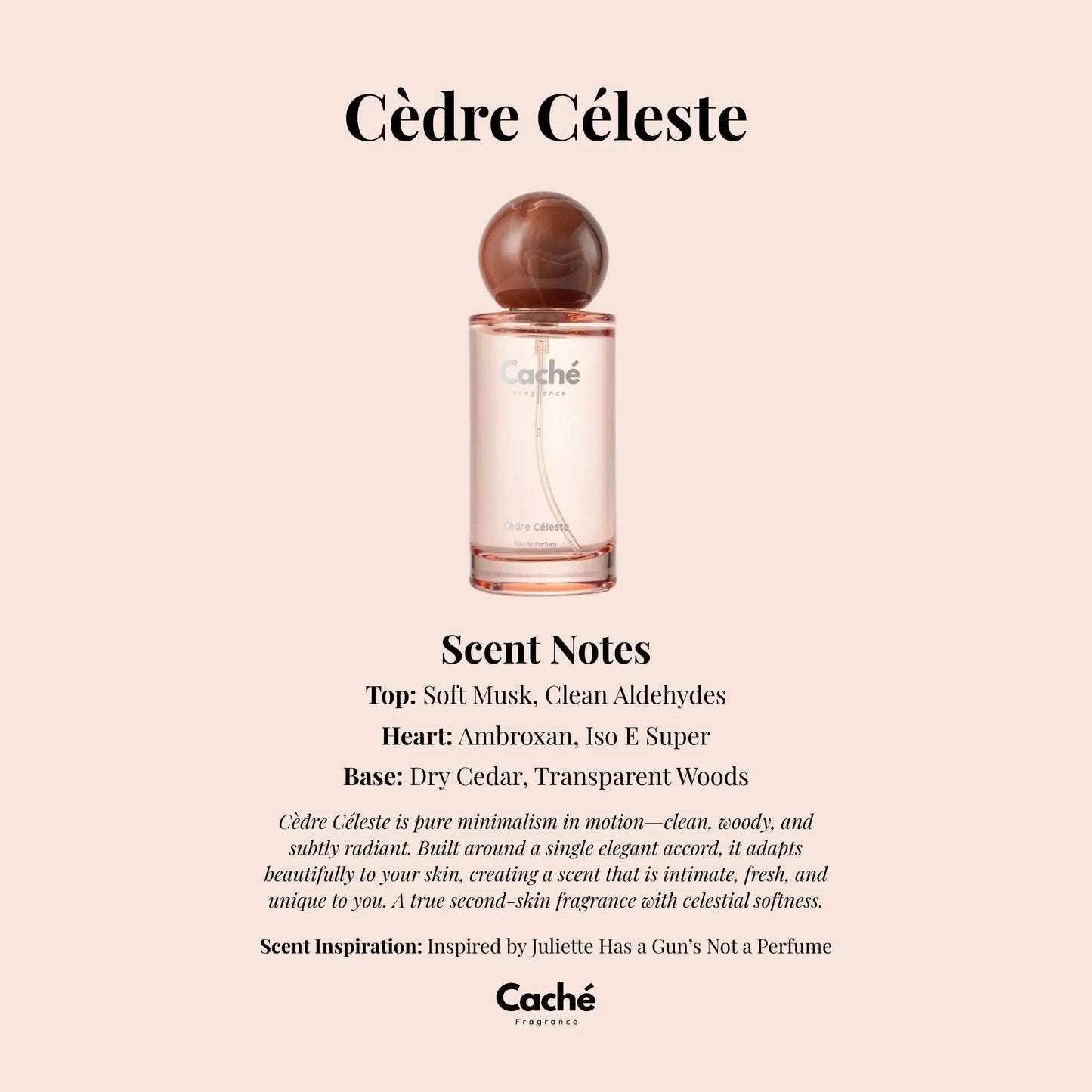Caché - Cèdre Céleste