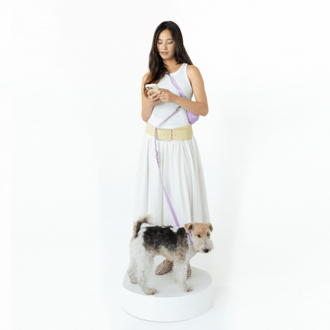 Hands-Free Dog Walking Bag with 4ft Leash