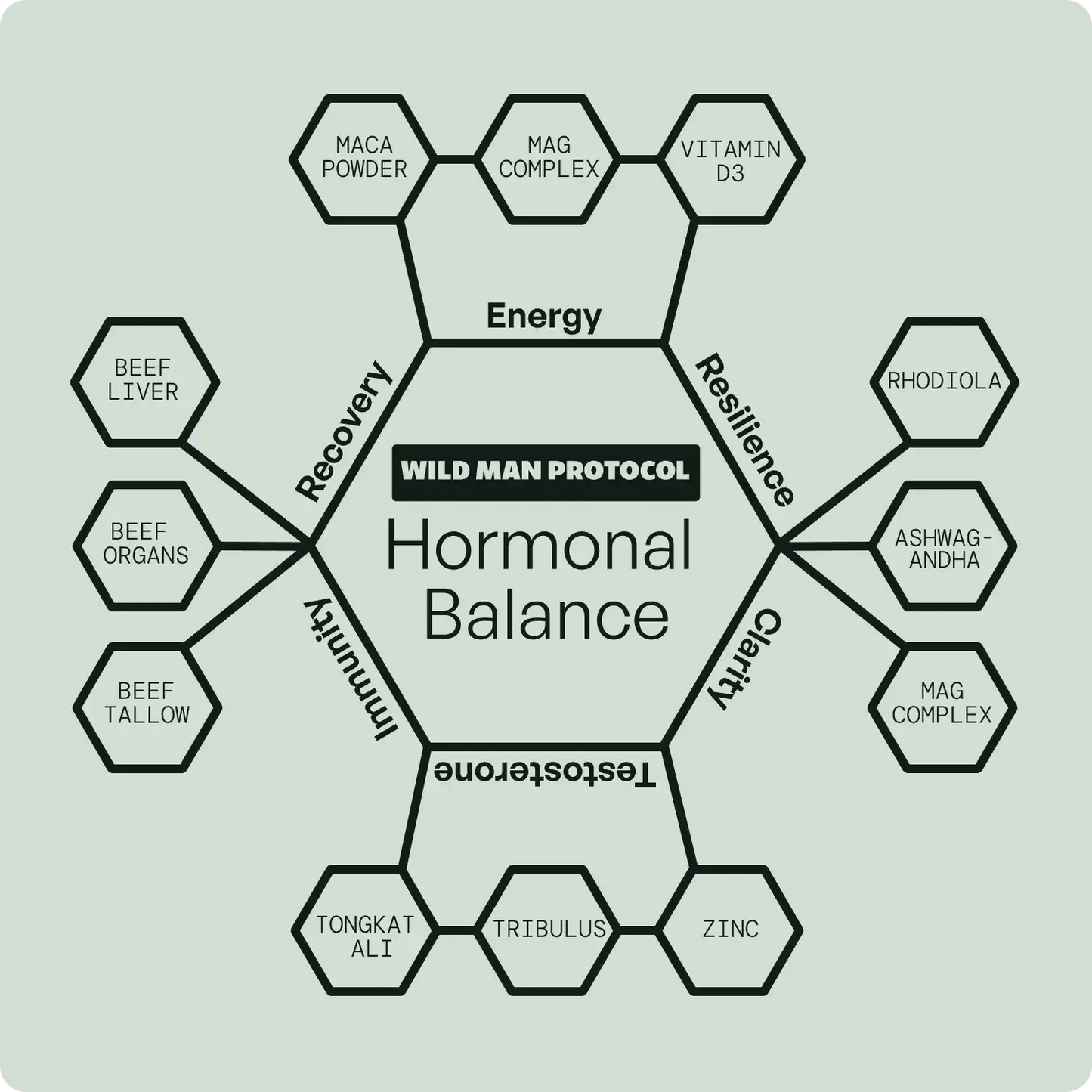 Wild Man Bundles: Natural Anabolic Support