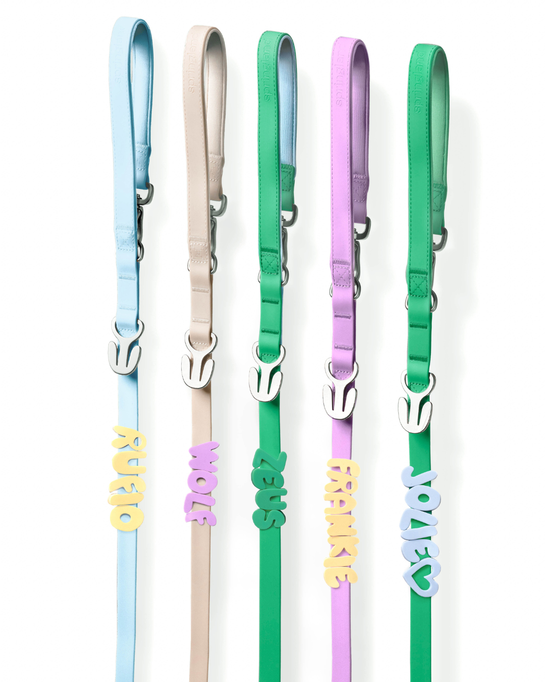 Waterproof Dog Leash - 5ft