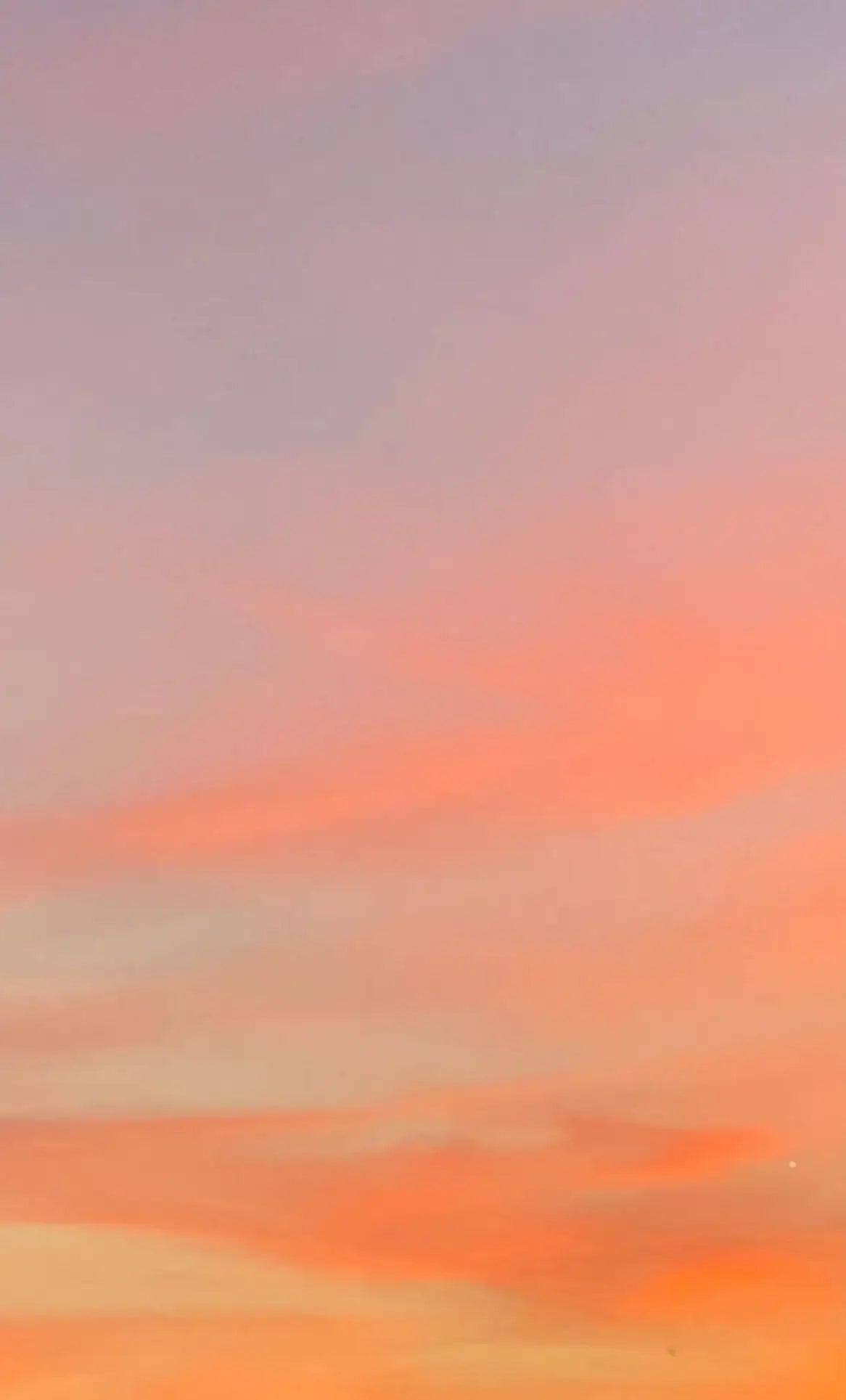 Summer Sunset 4 oz Candle