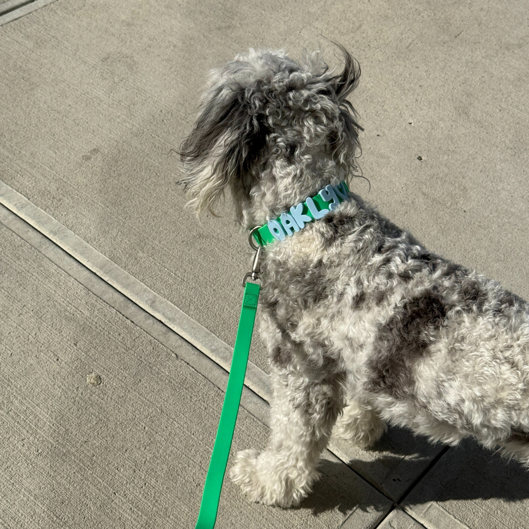 Waterproof Dog Leash - 5ft