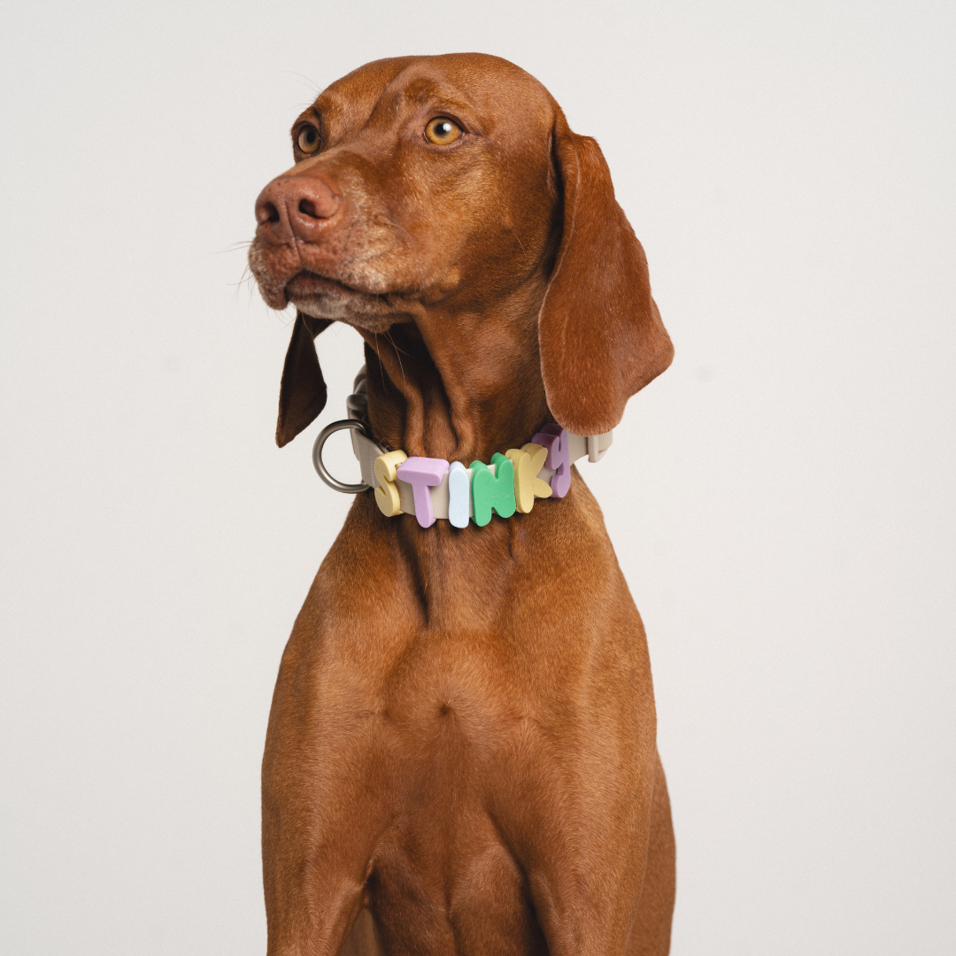 Waterproof Dog Collar