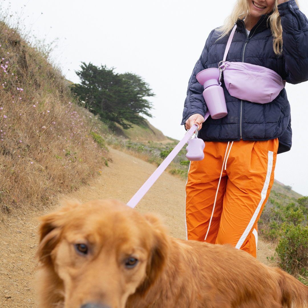 Hands-Free Dog Walking Bag with 4ft Leash