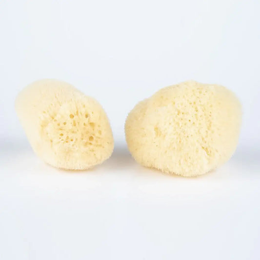 Sea Sponge - All Natural