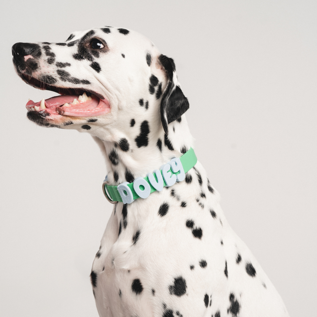 Waterproof Dog Collar