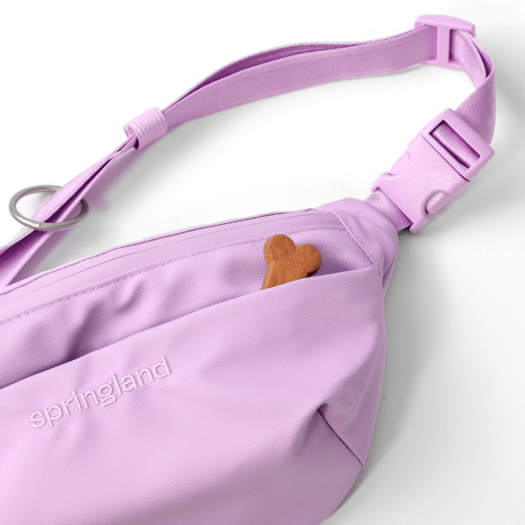 Hands-Free Dog Walking Bag with 4ft Leash