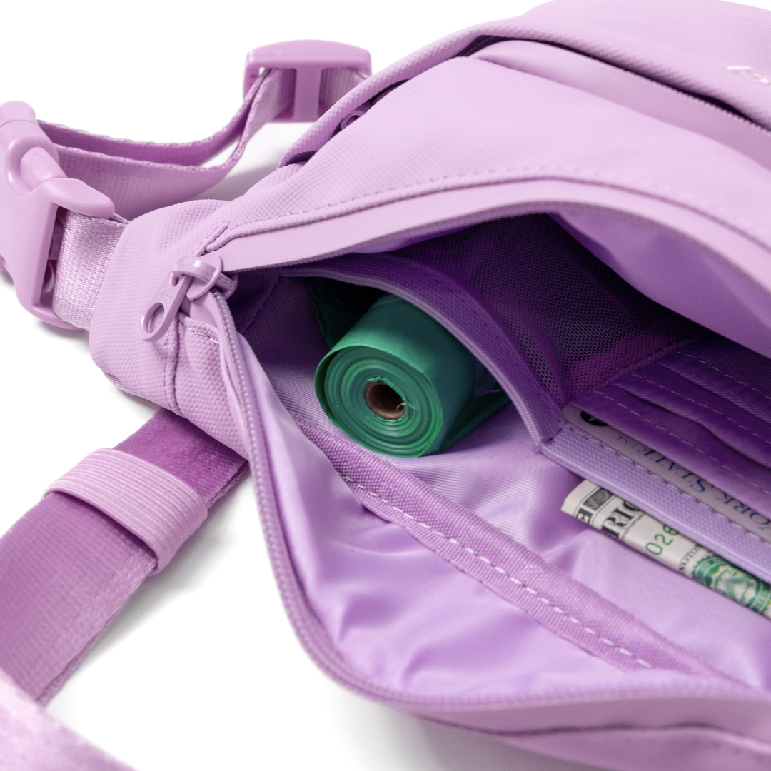 Hands-Free Dog Walking Bag with 4ft Leash