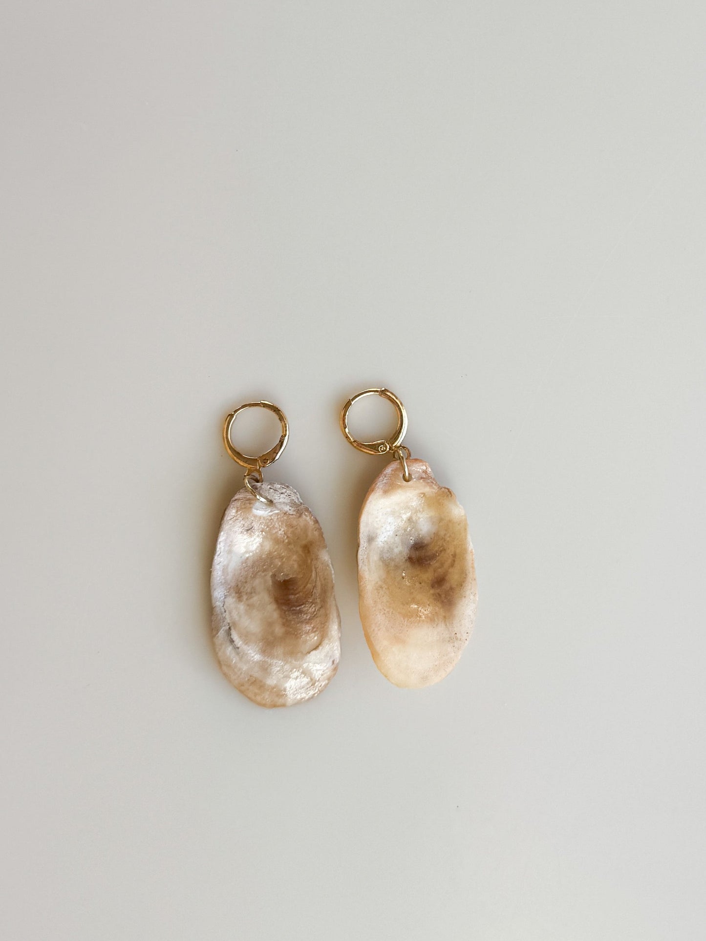 Bailey Shell Hoop Earrings