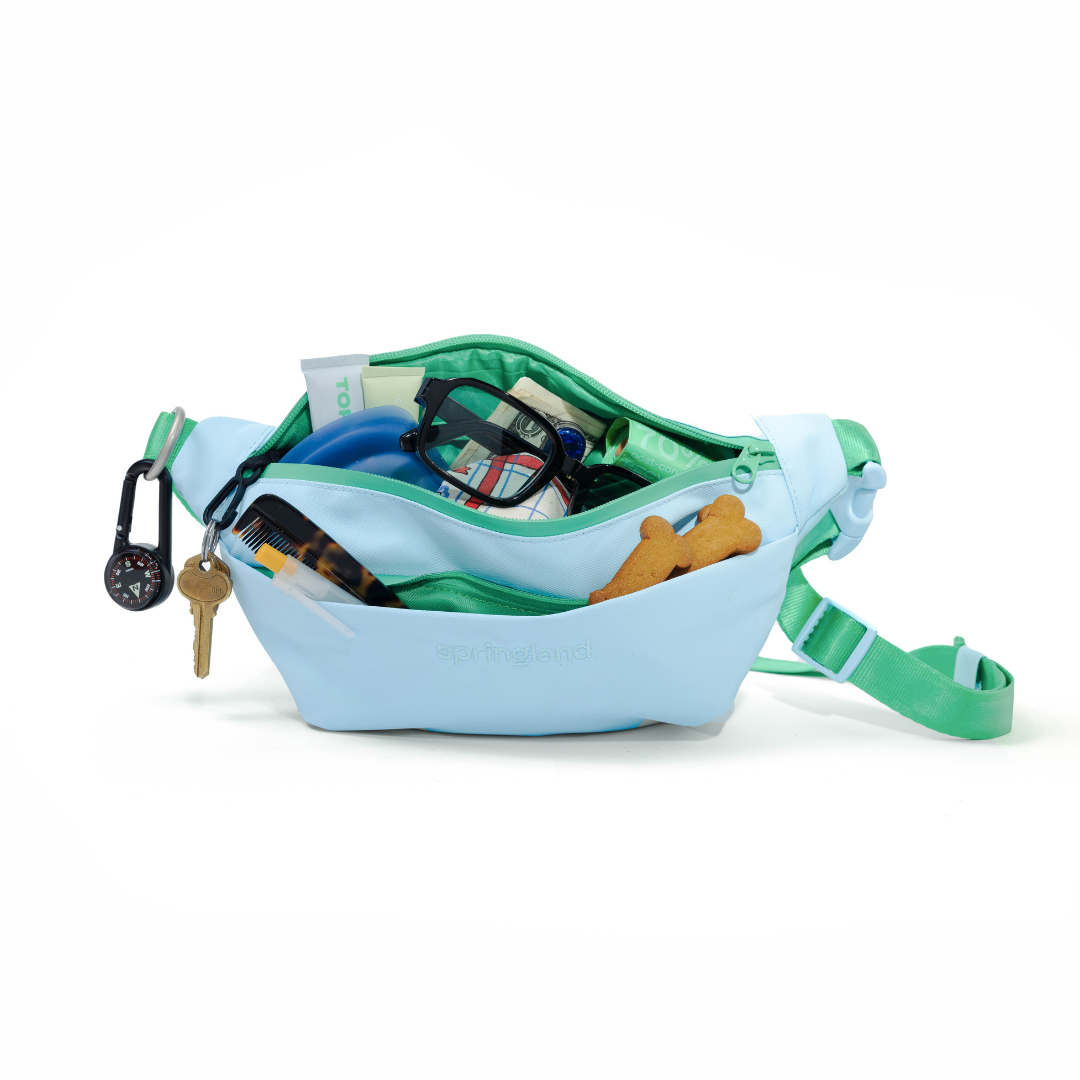 Hands-Free Dog Walking Bag