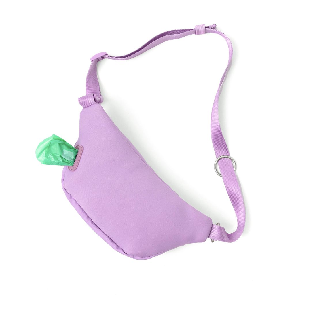 Hands-Free Dog Walking Bag