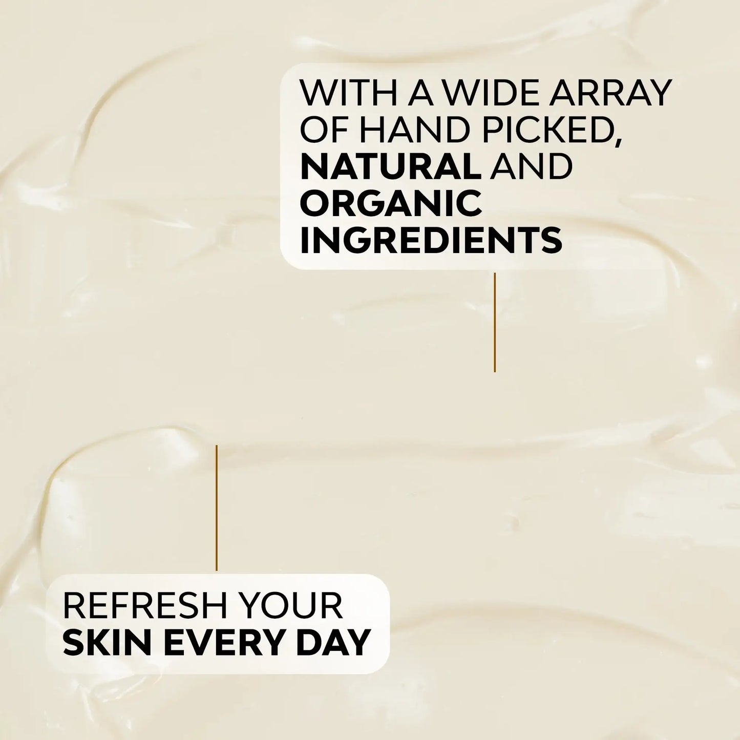 Timeless Eye Serum