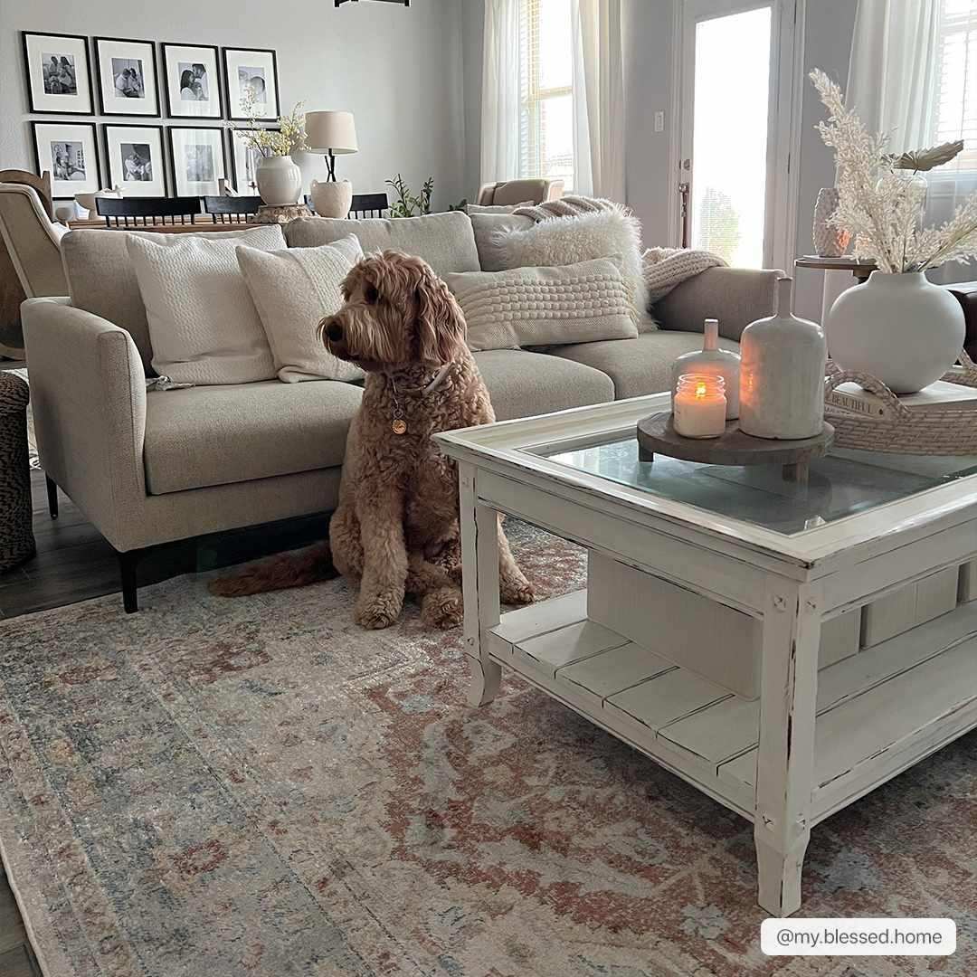 Emke Flat Pile Washable Rug - Clearance
