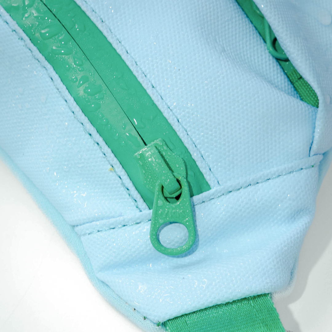 Hands-Free Dog Walking Bag with 4ft Leash