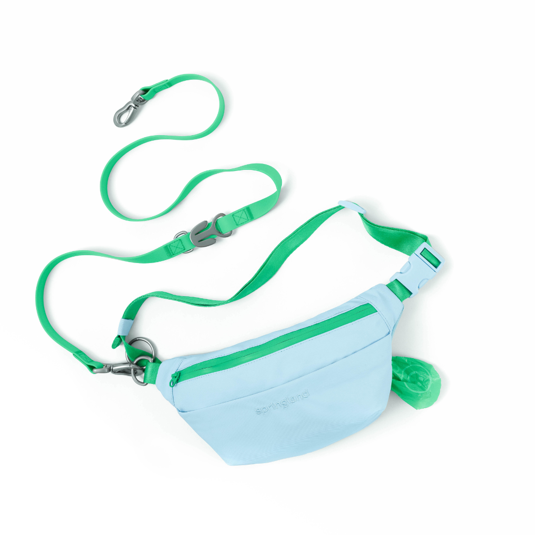 Hands-Free Dog Walking Bag with 4ft Leash