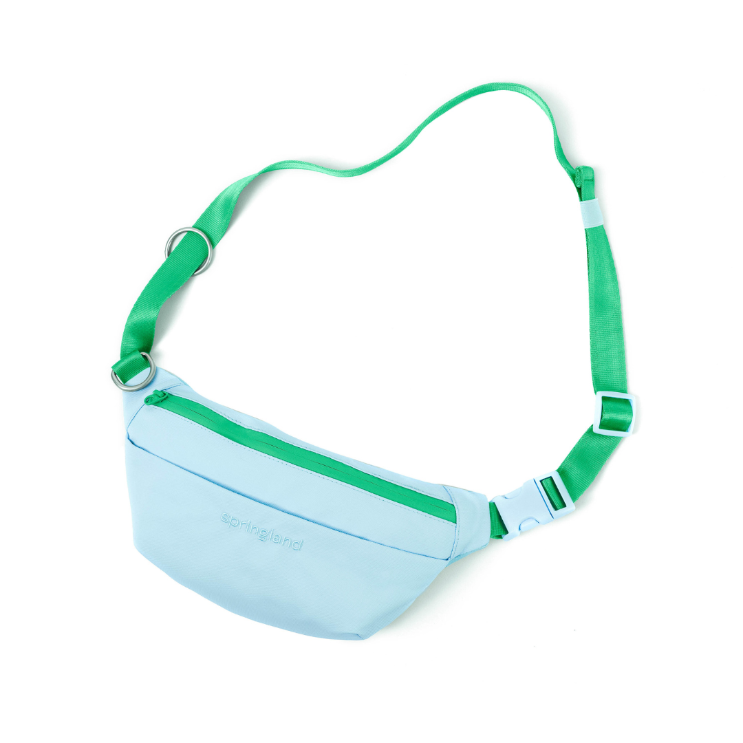 Hands-Free Dog Walking Bag