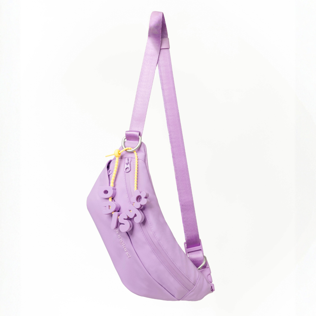 Hands-Free Dog Walking Bag