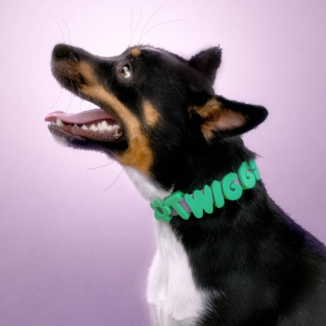 Waterproof Dog Collar