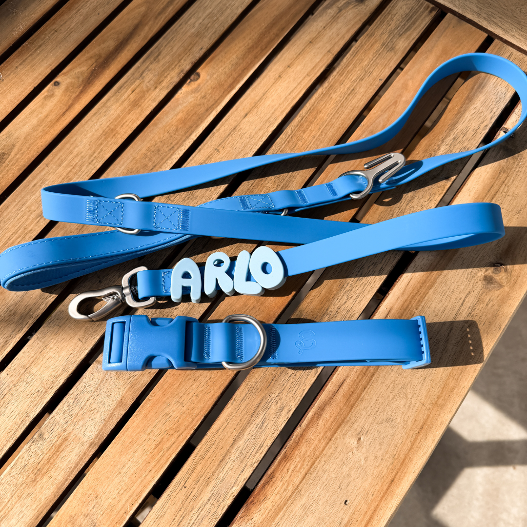 Waterproof Dog Leash - 5ft