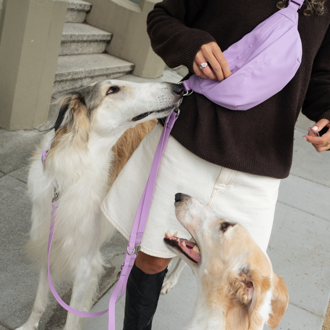 Hands-Free Dog Walking Bag with 4ft Leash