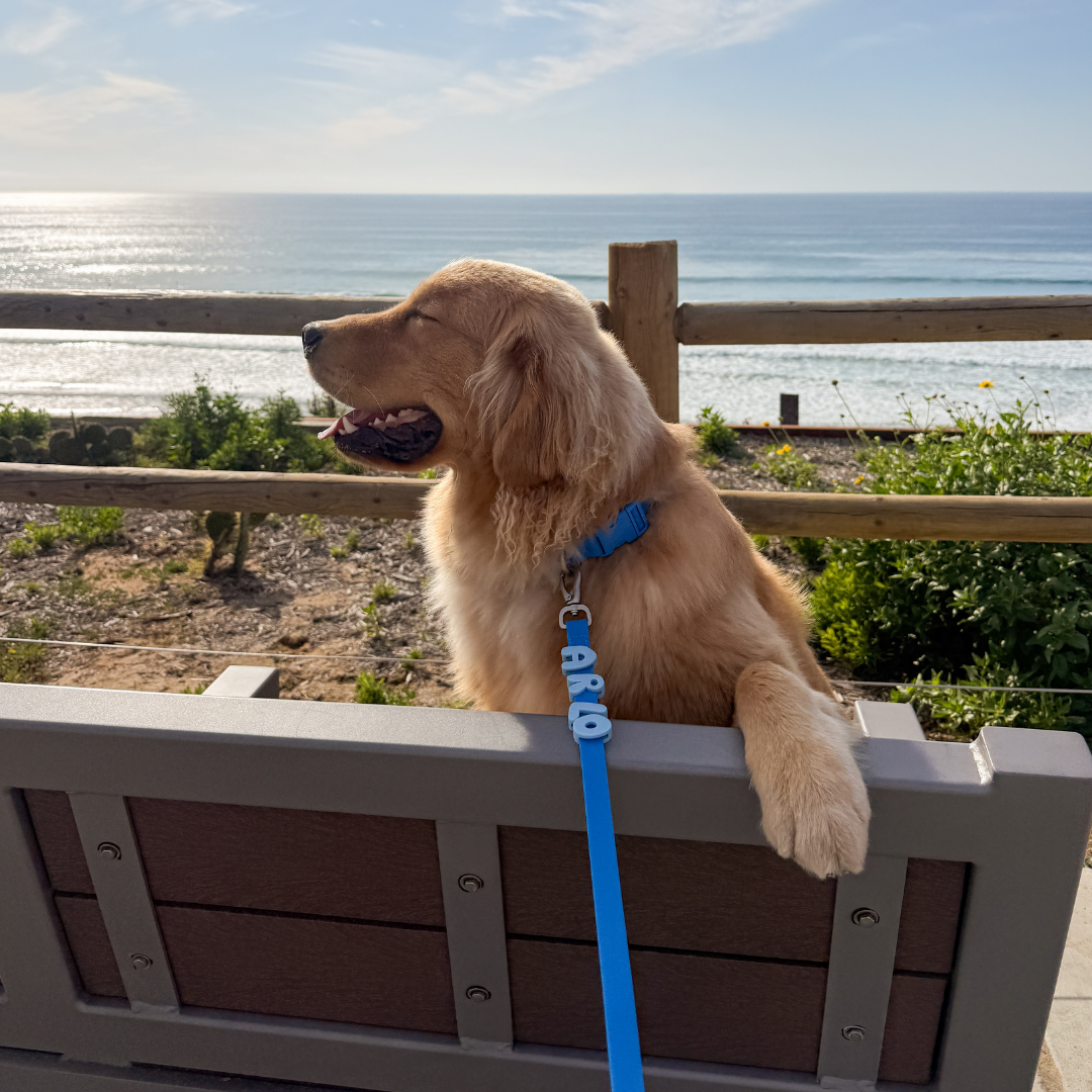 Waterproof Dog Collar