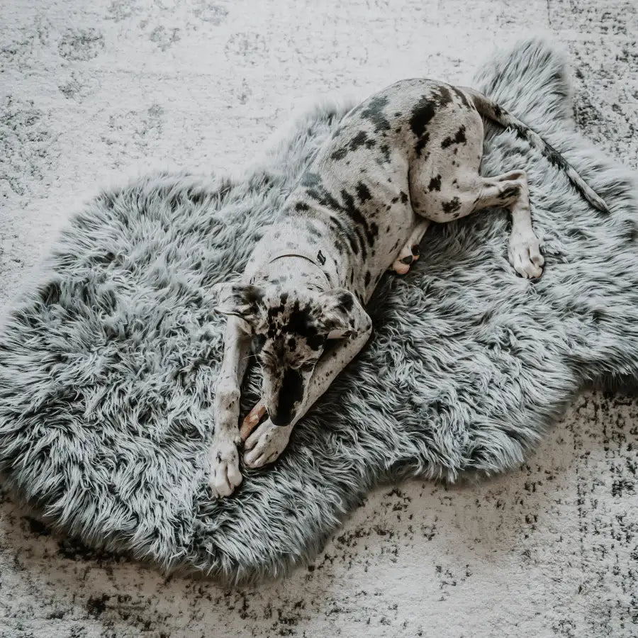 PupRug by Paw.com® Faux Fur Orthopedic Dog Bed - Curve Charcoal Grey