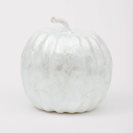 Large capiz pumpkin, pearl