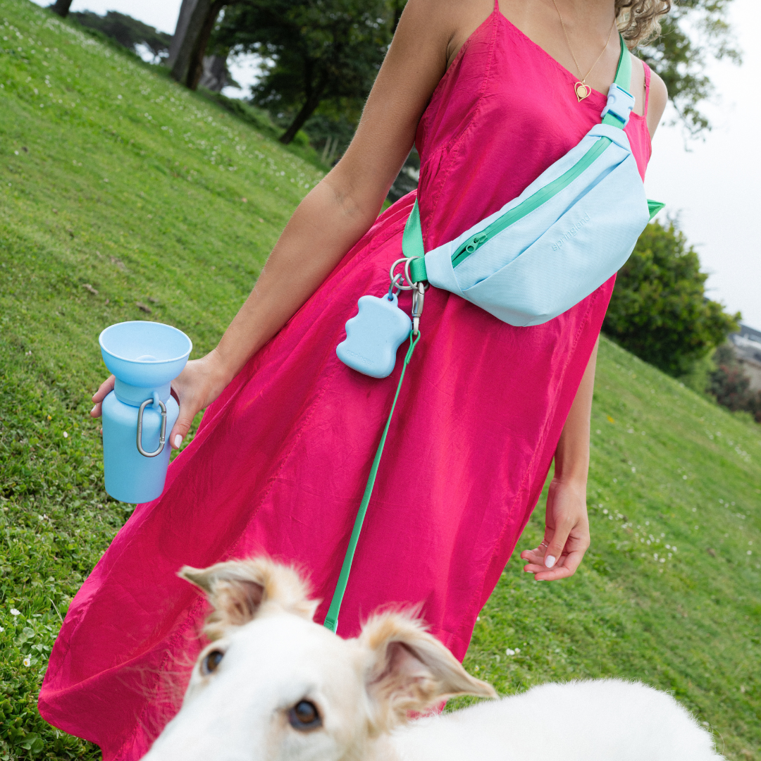 Hands-Free Dog Walking Bag with 4ft Leash